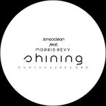 Portada para "Shining"