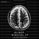 Artwork for "Mindfool"