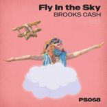 Artwork for "Fly in the Sky"
