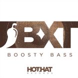 Artwork for "Boosty Bass"