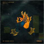 Artwork voor "Sattva"