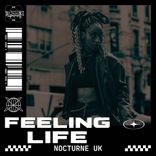 Artwork for "Feeling Life"