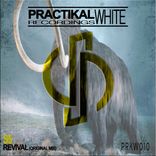 Artwork voor "Revival"