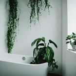 Artwork for "without you"