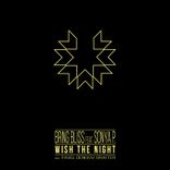 Artwork for "Wish the Night"