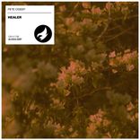 Artwork für "Healer"