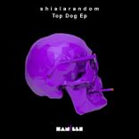 Artwork for "Top Dog"