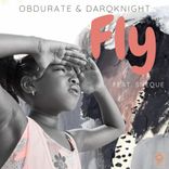 Artwork for "Fly"