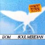 Artwork voor "Soul Meridian"