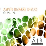 Artwork voor "Cum In"
