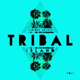 Artwork for "Tribal Island, Vol. 1"