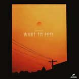 Artwork for "Want To Feel"