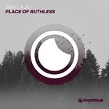 Artwork für "Place Of Ruthless"
