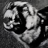 Artwork voor "Carnival (Remix)"