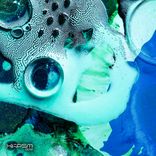 Artwork für "XKPSM002"