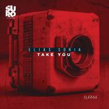 Artwork for "Take You"