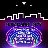 Portada para "Shake It"