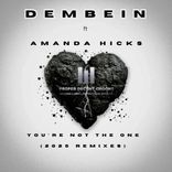 Artwork for "You're Not The One"