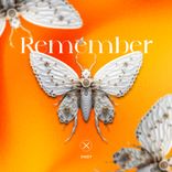 Artwork for "Remember"