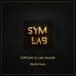 Artwork für "Mysterious"