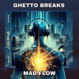 Portada para "Mad Flow"