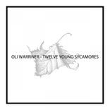 Artwork for "Twelve Young Sycamores"
