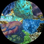 Artwork für "mosso008"