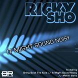 Portada para "It Might Sound Noisy"