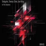 Artwork for "In The Shadows"