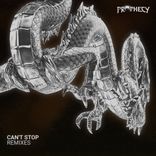 Artwork voor "Can't Stop"