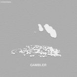 Portada para "Gambler"