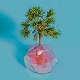 Artwork for "Backyard / You're so American"