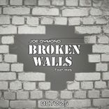 Portada para "Broken Walls"