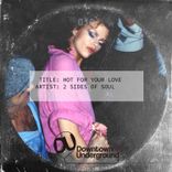 Artwork for "Hot for Your Love"