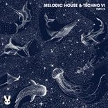 Artwork for "Melodic House & Techno VI"