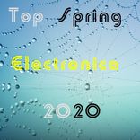 Artwork for "Top Spring Electronica 2020"