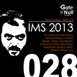 Portada para "Ims 2013"