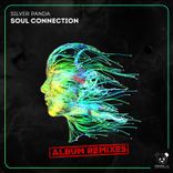 Artwork for "Soul Connection"