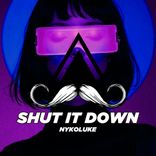Artwork for "Shut It Down"