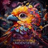 Portada para "Unidentified"