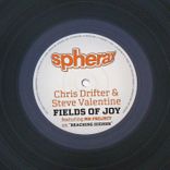 Artwork for "Fields Of Joy"