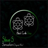 Portada para "Sensation"