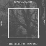 Artwork für "The Secret of Running"