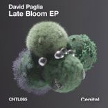 Portada para "Late Bloom"