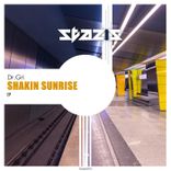 Artwork for "Shakin Sunrise"