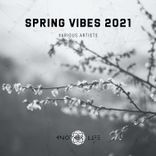 Artwork voor "Spring Vibes 2021"