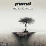 Artwork for "Meaning Of Life"