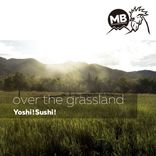 Over The Grassland