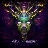 Artwork für "Special Minds"