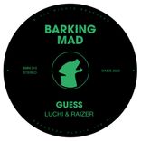 Artwork voor "Guess"